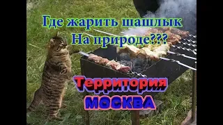 14 мест где можно пожарить шашлыки на природе в Москве?