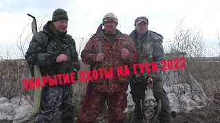 Закрытие охоты на гуся 2022. Гусь пошел и мы своих взяли. Spring goose hunting 2022.