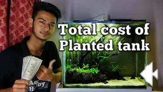 Total cost of planted tank