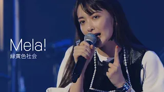 [자막] 녹황색사회(緑黄色社会) - Mela! 라이브 live