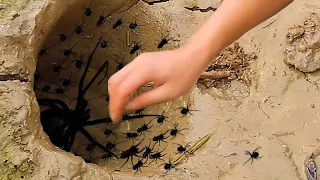 hand in tödliches spinnen loch.. (nicht nachmachen)