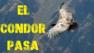 El Condor Pasa - Полет кондора piano + panflute version. музыка для души synthesizer Yamaha