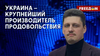 💬 Украина находит НОВЫЕ пути для решения ПРОБЛЕМ, созданных Россией. Мнение политолога