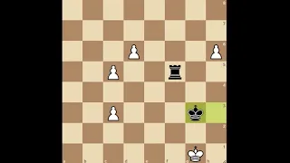 Endgame Study 15 -Which Pawn should white push?