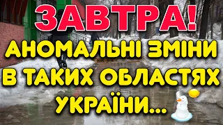 НАСУВАЄ АНОМАЛЬНЕ ПОТЕПЛІННЯ?! Прогноз погоди на 28 ГРУДНЯ