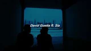 SHE WOLF - David Guetta & Sia [ Lyrics en español ]