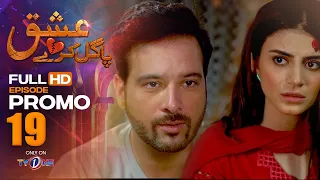 Ishq Pagal Karay | Episode 19 Promo | TV One Drama | TVONE