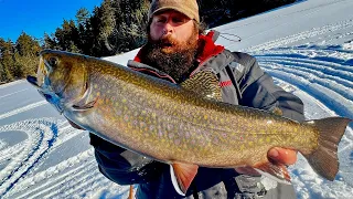 My Big Brook Trout on Moosehead Lake