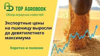 Экспортные цены на пшеницу выросли до девятилетнего максимума. TOP Agrobook: обзор аграрных новостей