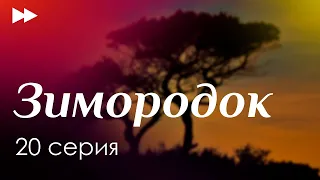 podcast: Зимородок [20 серия] - podcast, сериальный онлайн подкаст, когда смотреть?