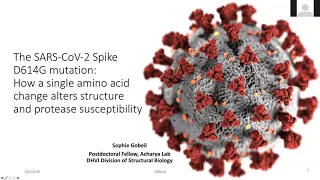 Sophie Gobeil, Ph.D - Structural, biophysical, and biochemical studies of SARS-CoV-2 spike variants