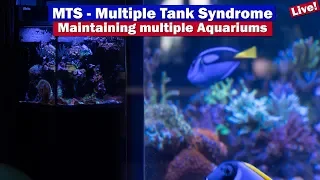 MTS - Maintaining Multiple Aquariums - Can you have just one?