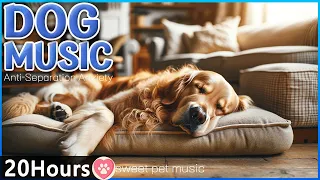 20 HOURS of Dog Calming Music For Dogs🎵Anti Separation Anxiety Relief and sleep🦮💖Best Pet Music