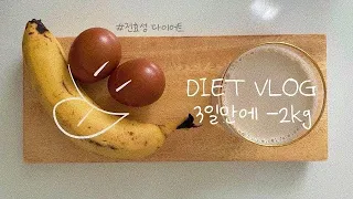 SUB) diet vlog | 급찐급빠｜전효성 다이어트｜연예인 다이어트 | 오랜만에 하는 3일 단기다이어트 🤮