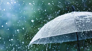 Rain status video || Barish whatsapp status and natural status video #shorts #youtubevideo