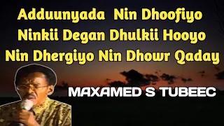 Aduunyada Nin Dhoofiyo , Maxamed S Tubeec Hees , Aduunyada Nin Dhoofiyo Ninkii Dagan Dhulka Hooyo