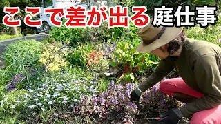 やるかやらないかで春の花の量が確実に変わります　　【カーメン君】【園芸】【ガーデニング】【リフォーム庭仕事17】