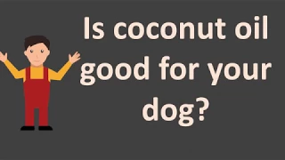 Is coconut oil good for your dog ?