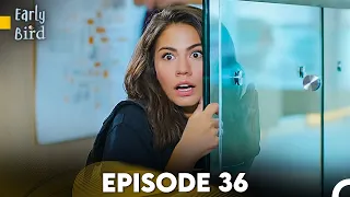 Early Bird - Episode 36 (English Subtitles) | Erkenci Kus