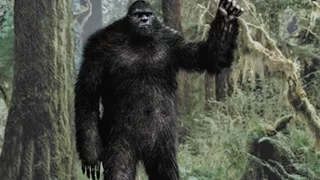 Bigfoot in Britain