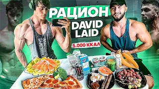 РАЦИОН ДЭВИДА ЛЭЙДА  | 5000 КАЛОРИЙ В ДЕНЬ ( ЭТО РЕАЛЬНО?? )