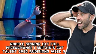 Noodle Singing Cat Full Performance | Britain's Got Talent 2023 Auditions Week 3 REACTING