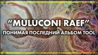 Understanding Tool's last album: FEAR INOCULUM review | PMTV Channel