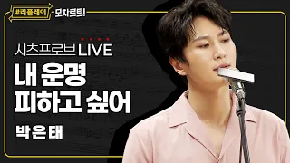 [#리플레이모차르트!] 시츠프로브 LIVE ♬ '내 운명 피하고 싶어' 박은태