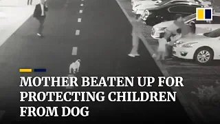 Mother beaten up for protecting children from unleashed dog in China