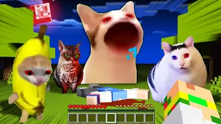 超怖い猫ミームのねこが襲って来るマインクラフト！ホラー猫ミーム...?!😱💨『都市伝説』【まいくら・Minecraft】よろずや🍭