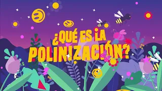 ¿Qué es la polinización? - Conoce más sobre las flores, los polinizadores y su importancia en 5 min