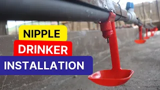 Level Up Your Poultry Farming with Nipple Drinkers | Installation Tips