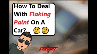 How To Deal With Flaking Paint On Car?😨🤔 ||  AutoBody Q&A at Paradice Garage🌴🚗
