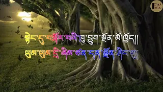 PANGLU SHAR WEE =Hem Lal Darjee & Phub Zam-karaoke without vocal#Bhutanese song lyrical karaoke