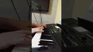 #casio - Tears for Fears - Everybody Wants To Rule The World - Cover Keyboard (Synth). Paulo Cruz