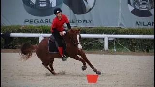 Pony Master Show 2024 - Italian Team Championships - Chiara & Mister