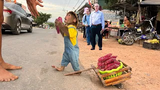 Cutis secretly harvested dad sweet potatoes to sell at the market