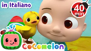 Cerca i pulcini | CoComelon Italiano - Canzoni per Bambini