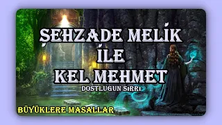 ŞEHZADE MELİK İLE KEL MEHMET (Dostluğun Sırrı)-Büyüklere Masallar-Masal Dinle-Peri Mia Masalları