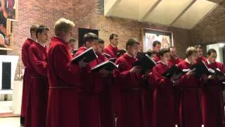 Cantores Minores - Hallelujah