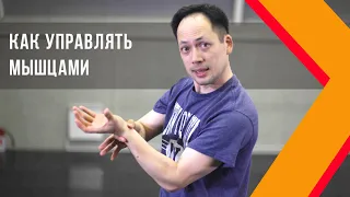 Как почувствовать мышцы и заставить их работать | поппинг обучение | popping tutorial