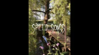 kiedy złamiesz serce mi (speed songs/speed up)