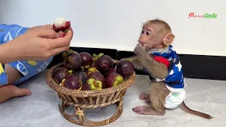 Good Behavior Beby M0nkey Jenna Sitting Silently Wait Mom Peel Mangosteen For Her