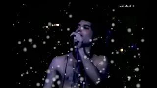 Don't Stop Me Now II Queen -  (Live at Hammersmith Odeon, 26.12.1979)