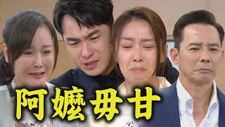 【天道】EP265 晴天癌細胞加速擴散！一霖哭喊"不想失去妳" 麗萍為救孫女傻傻相信運金｜完全娛樂