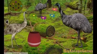 Big Emu Forest Escape walkthrough Bigescapegames.