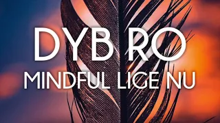 Dyb Ro - Mindful lige nu