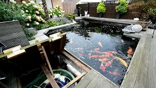 Modern Koi Blog #1883 - Petra & Marios Filter und Wasser nach dem Umbau