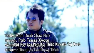 Daim Duab Chaw Nco Pob Tsuas Xyooj Karaoke