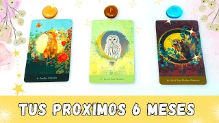 ¿Que te depara el futuro para los próximos 6 Meses? - Elige una Carta - Tarot Interactivo